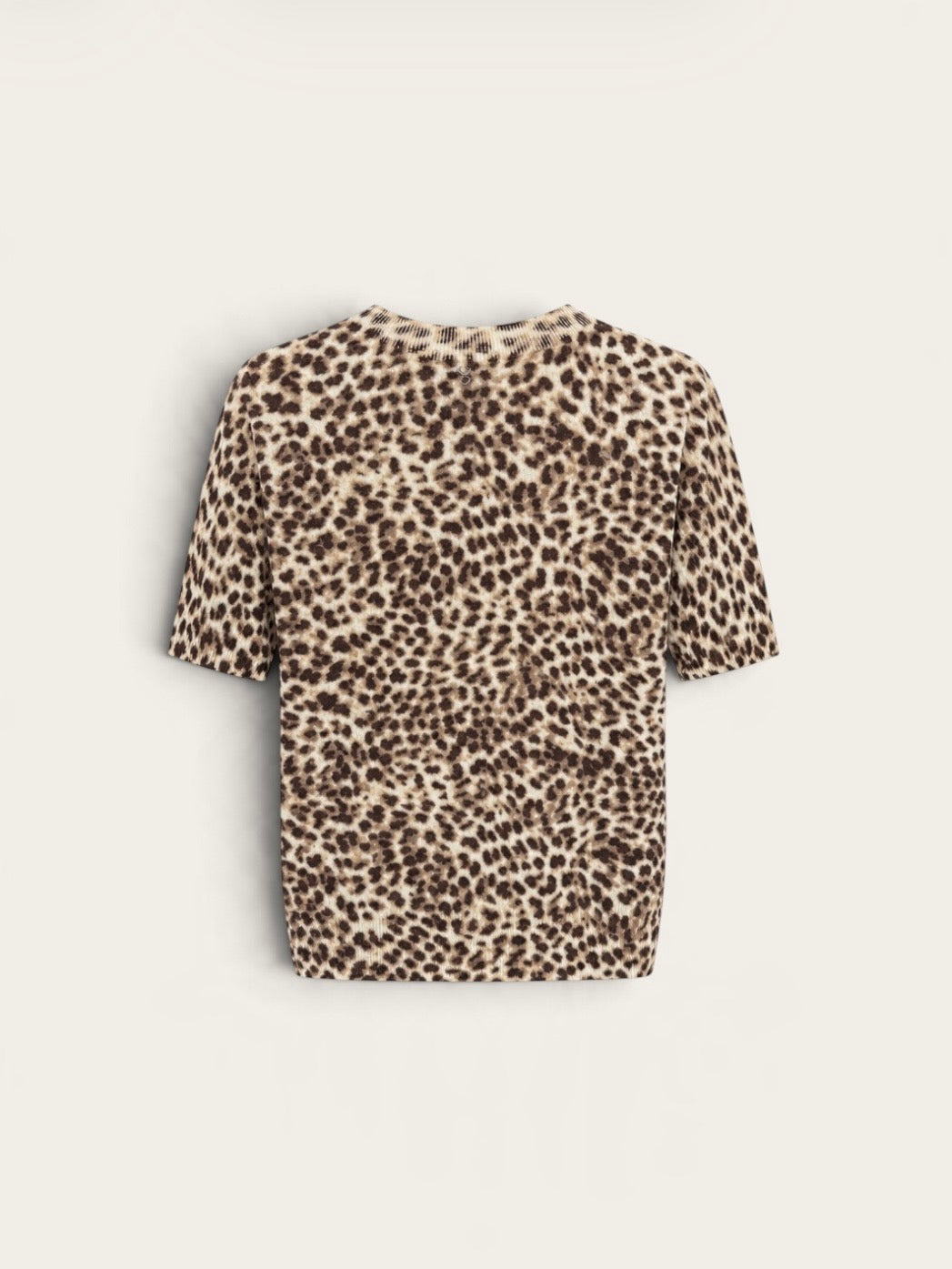 PLEASE Pull manches courtes M6389WLM20 - Leopard
